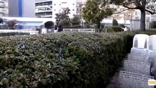 《禁室培欲爱的俘虏》高清不卡在线观看-全集
